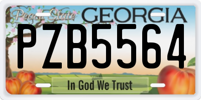 GA license plate PZB5564