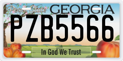 GA license plate PZB5566