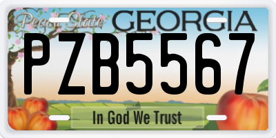 GA license plate PZB5567