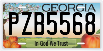 GA license plate PZB5568