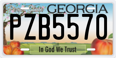 GA license plate PZB5570