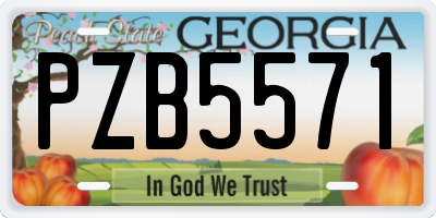 GA license plate PZB5571