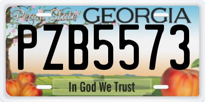 GA license plate PZB5573