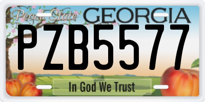 GA license plate PZB5577