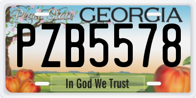 GA license plate PZB5578