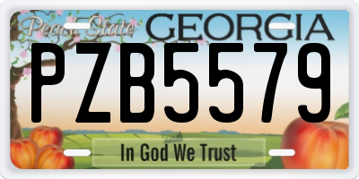 GA license plate PZB5579
