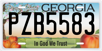 GA license plate PZB5583