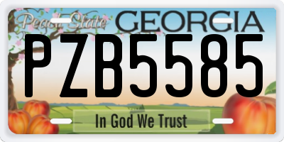 GA license plate PZB5585
