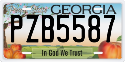 GA license plate PZB5587