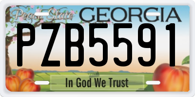 GA license plate PZB5591