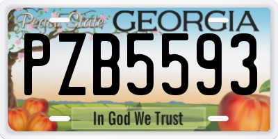 GA license plate PZB5593