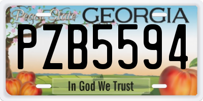 GA license plate PZB5594
