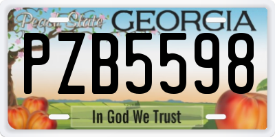 GA license plate PZB5598