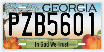 GA license plate PZB5601