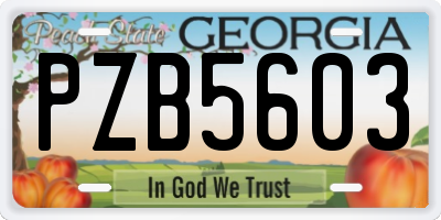 GA license plate PZB5603