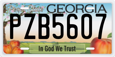 GA license plate PZB5607
