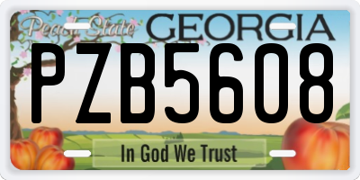 GA license plate PZB5608