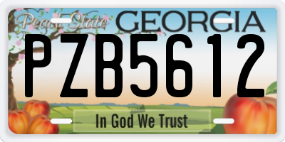 GA license plate PZB5612