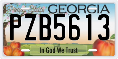 GA license plate PZB5613