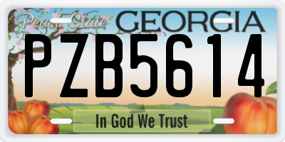 GA license plate PZB5614