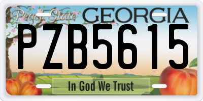 GA license plate PZB5615
