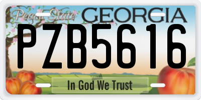 GA license plate PZB5616