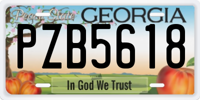 GA license plate PZB5618