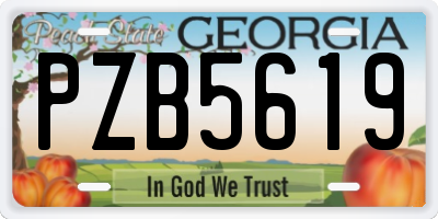 GA license plate PZB5619