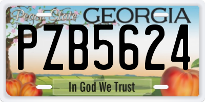 GA license plate PZB5624
