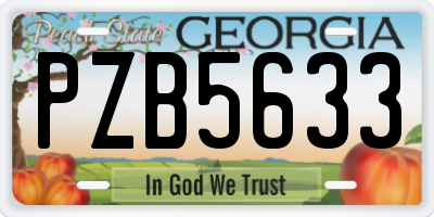 GA license plate PZB5633