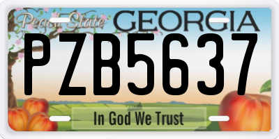 GA license plate PZB5637