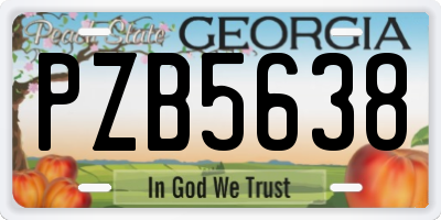 GA license plate PZB5638
