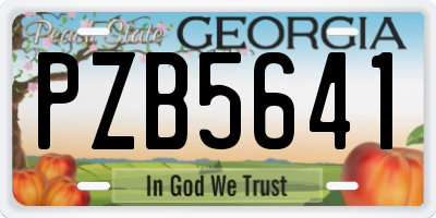 GA license plate PZB5641