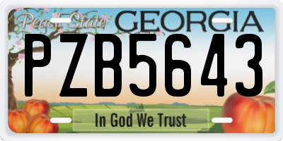 GA license plate PZB5643