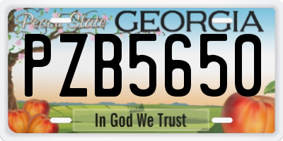 GA license plate PZB5650