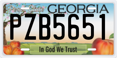 GA license plate PZB5651