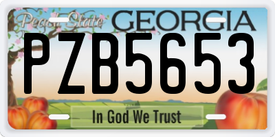 GA license plate PZB5653