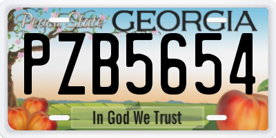 GA license plate PZB5654