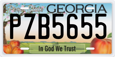 GA license plate PZB5655
