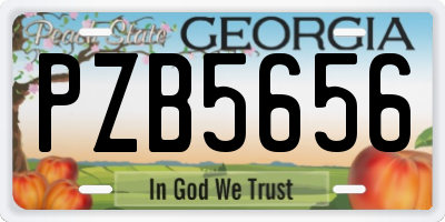 GA license plate PZB5656
