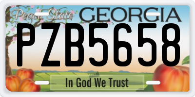 GA license plate PZB5658