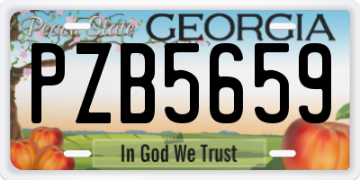 GA license plate PZB5659