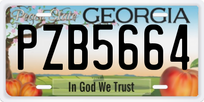 GA license plate PZB5664
