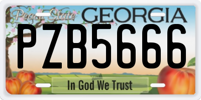 GA license plate PZB5666