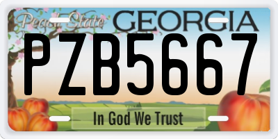 GA license plate PZB5667