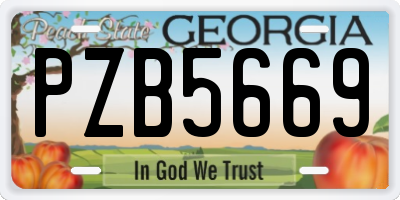 GA license plate PZB5669