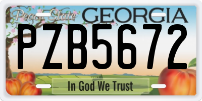 GA license plate PZB5672