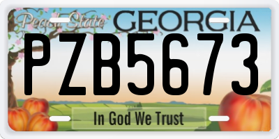 GA license plate PZB5673
