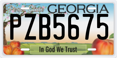GA license plate PZB5675