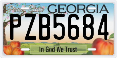 GA license plate PZB5684